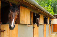 free Wray Common stable construction quotes